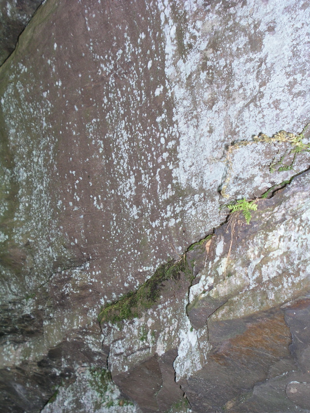 P1010009.JPG