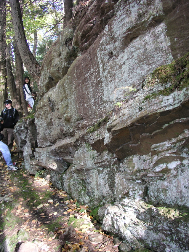 P1010012.JPG