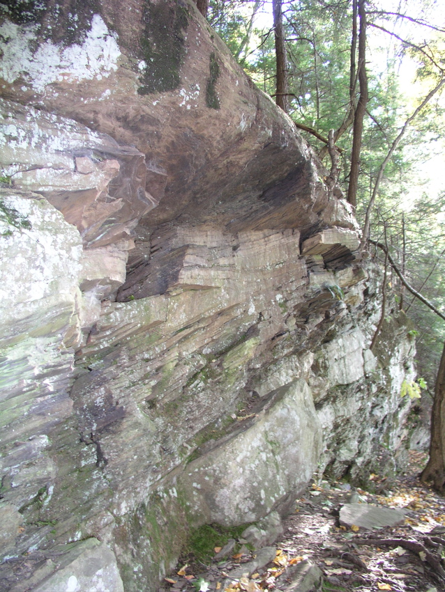 P1010013.JPG