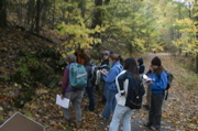 IMG_7273.JPG
