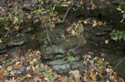 IMG_7274.JPG