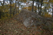 IMG_7297.JPG
