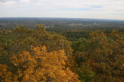 IMG_7301.JPG