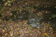 IMG_7275.JPG