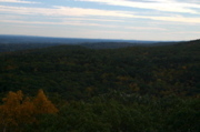 IMG_7308.JPG