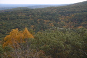 IMG_7312.JPG