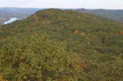 IMG_7316.JPG