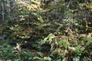 IMG_7323.JPG