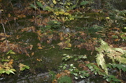 IMG_7325.JPG
