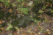 IMG_7277.JPG