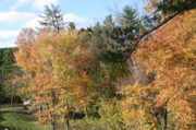 IMG_7326.JPG