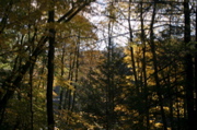 IMG_7327.JPG