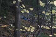 IMG_7328.JPG