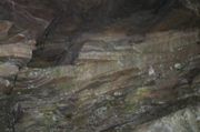 IMG_7334.JPG