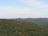 P1010002.JPG