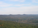 P1010003.JPG