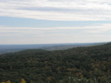 P1010005.JPG