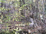 P1010007.JPG
