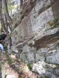 P1010012.JPG