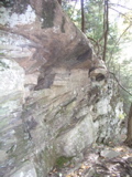 P1010013.JPG