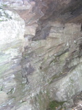 P1010014.JPG