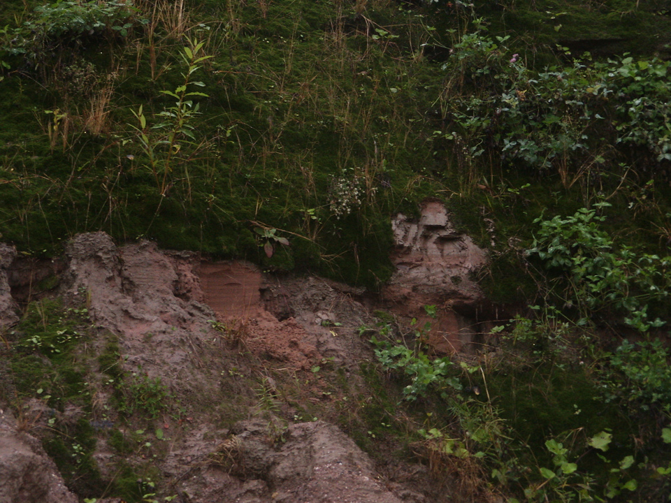 PICT0096