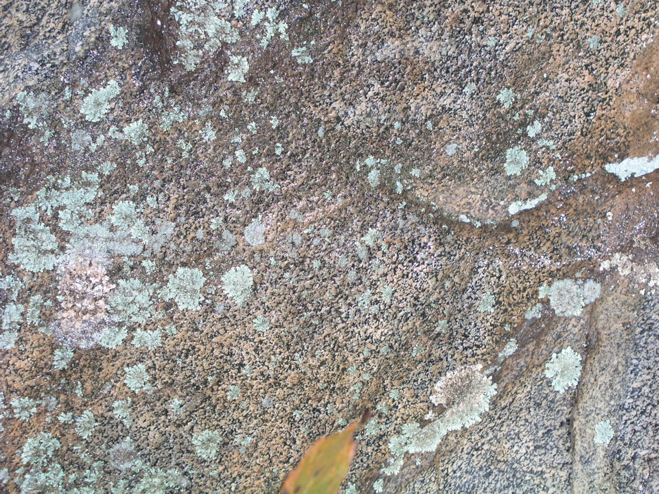 P1010004.JPG
