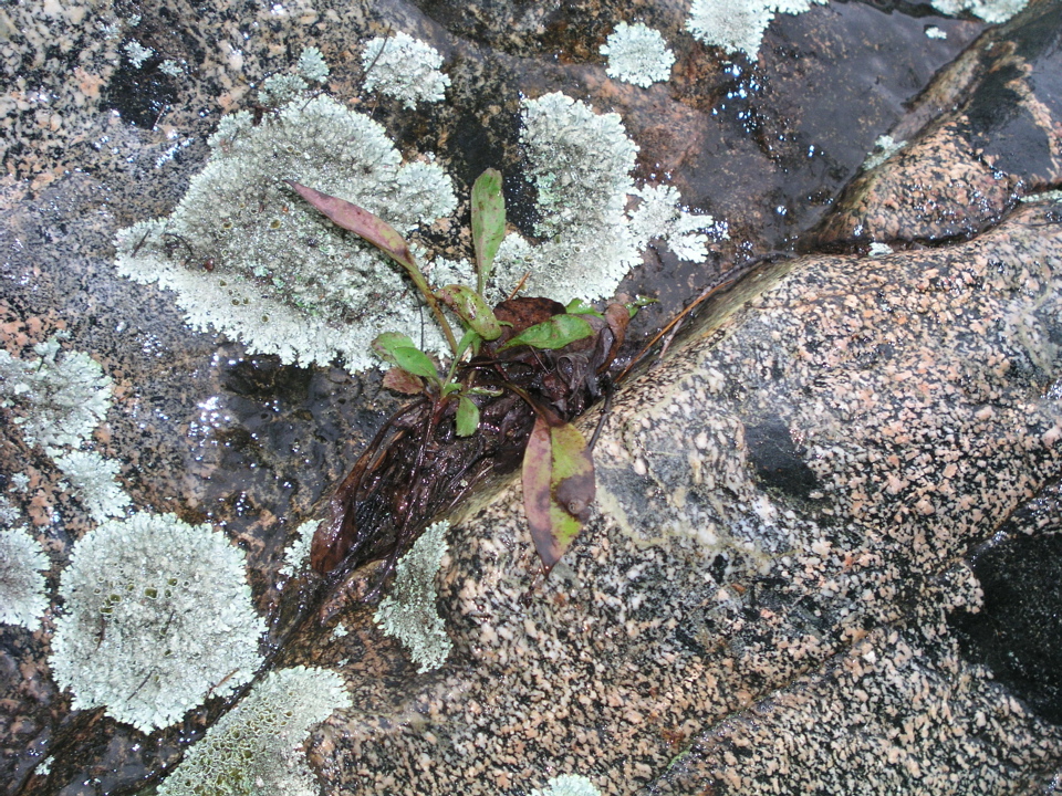 P1010006.JPG