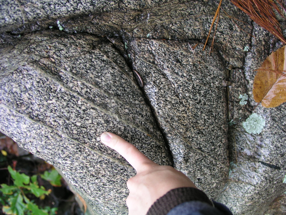 P1010008.JPG