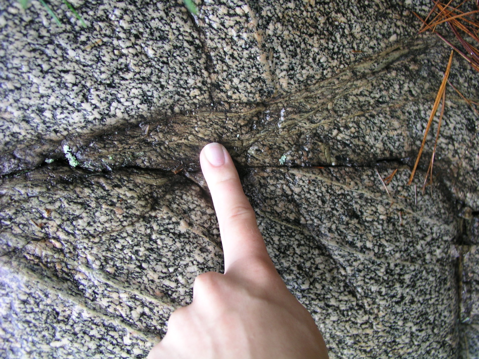 P1010011.JPG