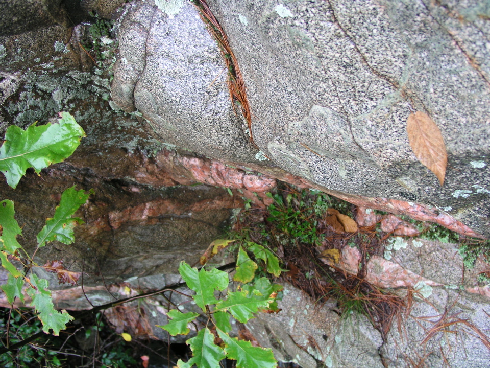 P1010012.JPG
