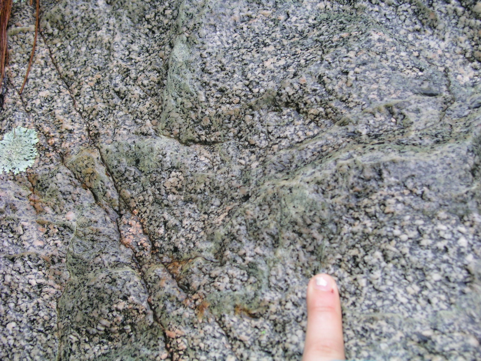 P1010015.JPG