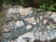 PICT0082