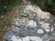 PICT0083