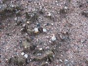 PICT0092