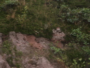 PICT0096