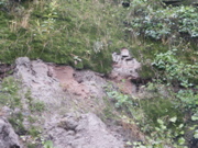PICT0097