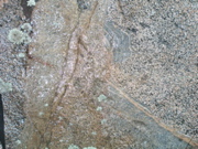 P1010002.JPG