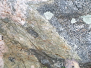 P1010003.JPG