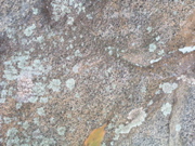 P1010004.JPG