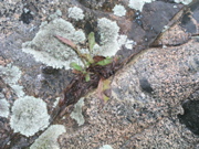P1010006.JPG