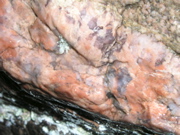 P1010007.JPG