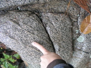 P1010008.JPG
