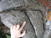 P1010009.JPG