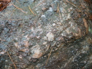 PICT0085