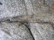P1010010.JPG