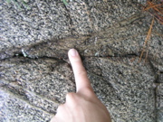 P1010011.JPG