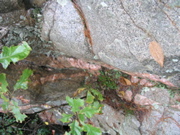 P1010012.JPG