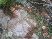 P1010013.JPG