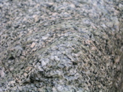 P1010014.JPG